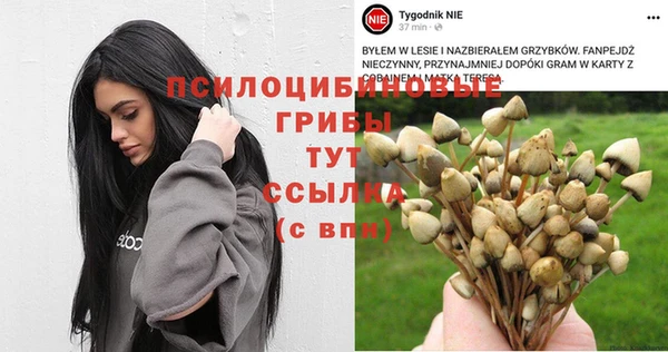 кокаин Краснослободск
