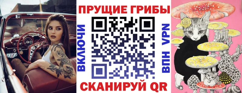 Псилоцибиновые грибы ЛСД  Медвежьегорск 